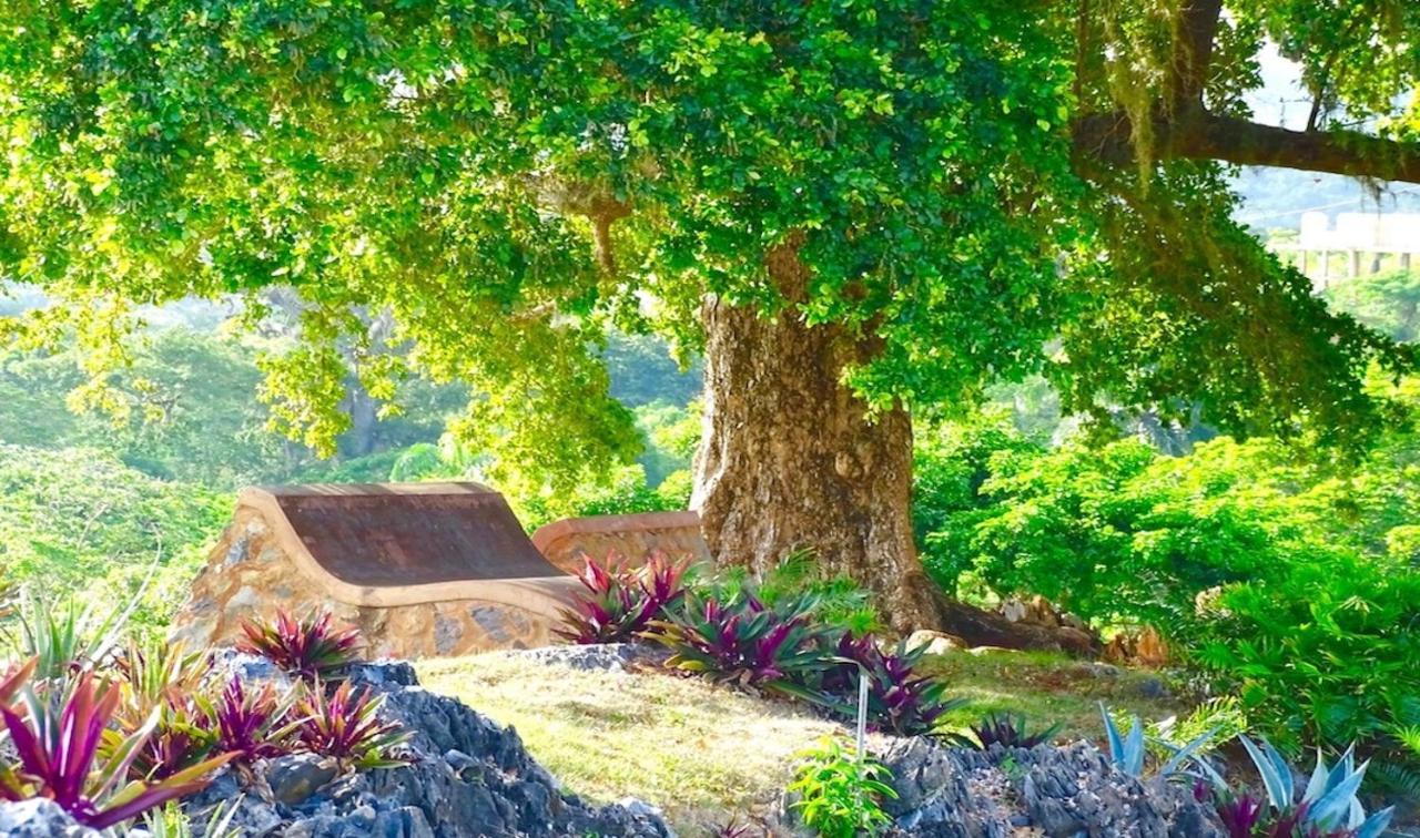 Las Galeras Village Ecolodge Eksteriør bilde